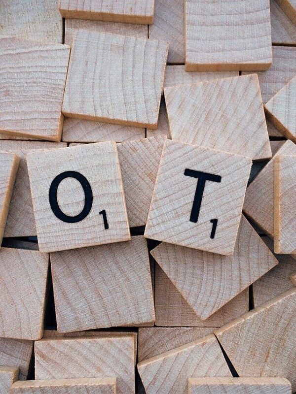 vote