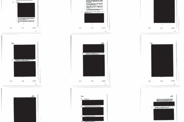 PSP policy redacted