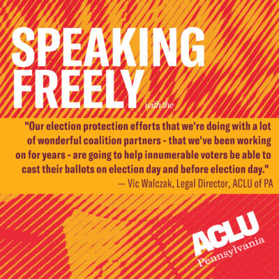 protect the vote