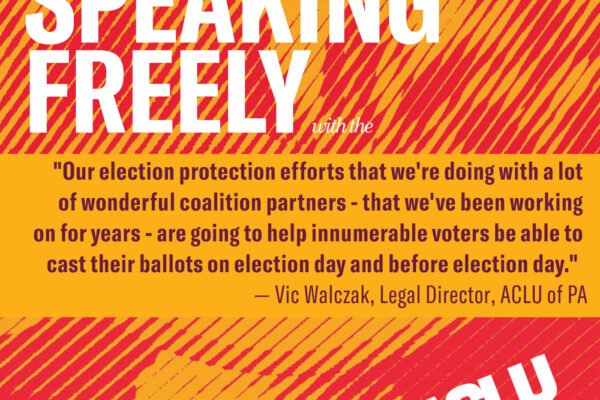 protect the vote