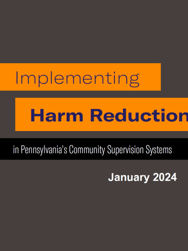 A screenshot of the cover of the report that is on a brown background with purple lettering