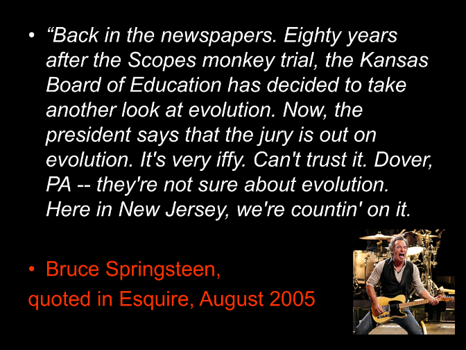 Quote from Bruce Springsteen
