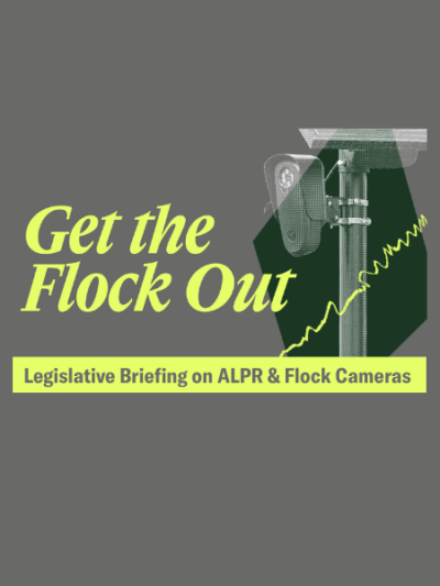 Graphic of Get the Flock Out