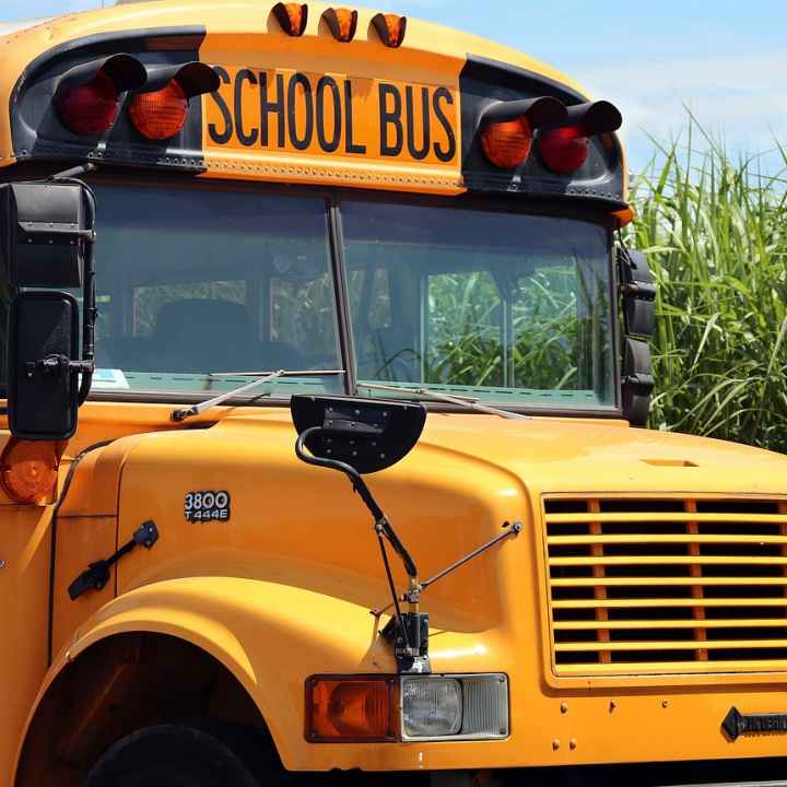photo of school bus